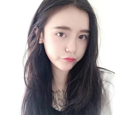 狗狗呼叫喵星h5手机版下载
